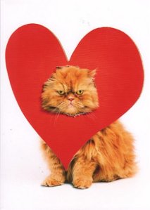 cat-and-red-heart-valentines-day-fun-picture